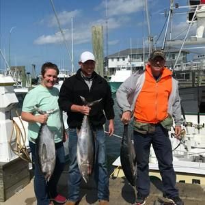 Meet your Posher, Matt